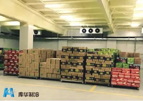 冷庫建造:50平方水果蔬菜冷庫可以放多少噸貨